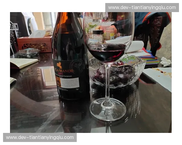 法兰西的“红酒与海浪”：当波尔多遇见尼斯，谁才是绿茵场上的极致浪漫？